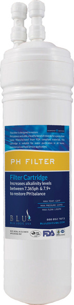 Everpure filter